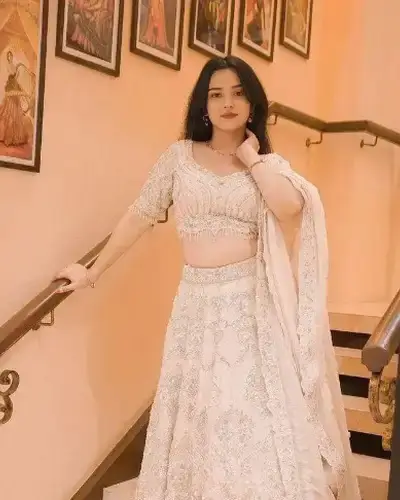 Escort Service In Wankaner
